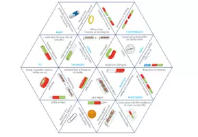 Vorschau - Spiele - Magnete & Magnetismus – Dreieck Domino Spiel - Seite 1