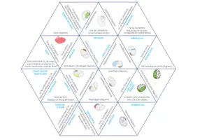 Vorschau - Spiele - Das Gehirn – Dreieck Domino Spiel (Abitur) - Seite 1
