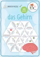 Vorschau - Spiele - Das Gehirn – Dreieck Domino Spiel (Abitur) - Deckblatt