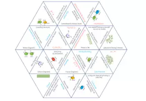 Vorschau - Spiele - Kohlenhydrate - Dreieck Domino Spiel (Abitur) - Seite 2