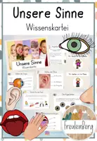 Vorschau - Merkblätter - Sinne Wissenskartei: Unsere Sinne & Sinnesorgane - Deckblatt