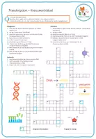 Vorschau - Arbeitsblätter - Proteinbiosynthese – 9x Aktivitäten und Spiele - Seite 3