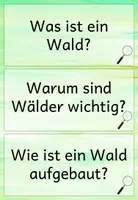 Vorschau - Arbeitsblätter - Einführung Wald mit Tafelmaterial - Seite 1