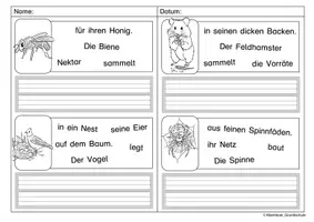 Vorschau - Arbeitsblätter - Schüttelsätze Wiese - Seite 3