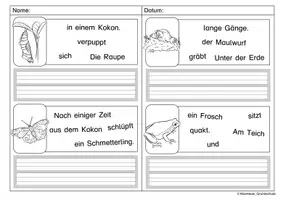Vorschau - Arbeitsblätter - Schüttelsätze Wiese - Seite 3