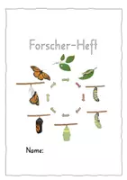 Vorschau - Mal- und Bastelvorlagen - Schmetterling: Forscherheft | Zickzack-Bild | Faltheft | Schreibblätter - Seite 3