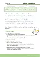 Vorschau - Arbeitsblätter - WIRTSCHAFT: Medienanalyse Projekt - Seite 2