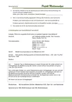 Vorschau - Arbeitsblätter - WIRTSCHAFT: Medienanalyse Projekt - Seite 3
