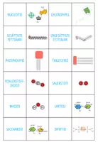 Vorschau - Spiele - Wichtige Moleküle in der Biochemie – Zuordnungsaktivität / Paare Finden Spiel (Abitur) - Seite 2
