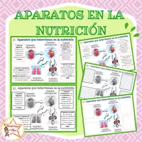 Vista previa - Hojas de trabajo - Aparatos que intervienen en la nutrición - Portada