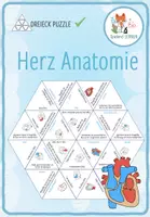 Vorschau - Spiele - Herz Anatomie – Dreieck Domino Spiel - Deckblatt