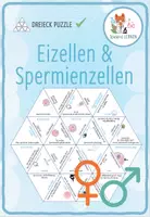 Vorschau - Spiele - Eizellen und Spermienzellen – Dreieck Domino Spiel - Deckblatt
