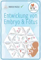 Vorschau - Spiele - Entwicklung von Embryo und Fötus – Dreieck Domino Spiel - Deckblatt