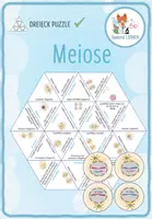 Vorschau - Spiele - Meiose – Dreieck Domino Spiel - Deckblatt
