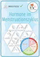 Vorschau - Spiele - Hormone im Menstruationszyklus – Dreieck Domino Spiel - Deckblatt