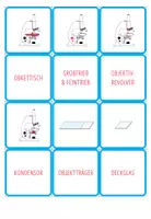 Vorschau - Arbeitsblätter - Mikroskop und Vergrößerung – 10x Spiele und Aktivitäten - Seite 3