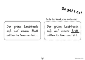Vorschau - Arbeitsblätter - Sätze lesen, Unterschiede finden Teil 1 (1./2. Klasse, Leseverständnis) - Seite 2