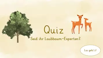 Vorschau - Präsentationen/Tafelbilder - Laubbäume - Interaktives Quiz - Seite 1