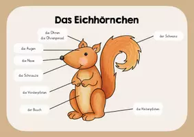 Vorschau - Arbeitsblätter - Materialpaket - Die Waldtiere - Seite 1