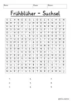 Vista previa - Juegos / Gamificación - Alemán Frühblüher Suchsel Buchstabengitter Frühling Blumen Sachunterricht - página 3