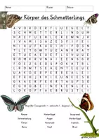 Vista previa - Juegos / Gamificación - Alemán Körper des Schmetterlings Suchsel Buchstabengitter Körperteile Schmetterling Sachunterricht Deutsch - Portada