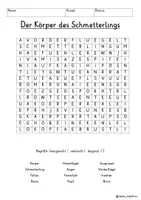 Vista previa - Juegos / Gamificación - Alemán Körper des Schmetterlings Suchsel Buchstabengitter Körperteile Schmetterling Sachunterricht Deutsch - página 1