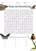 Vista previa - Juegos / Gamificación - Alemán Körper des Schmetterlings Suchsel Buchstabengitter Körperteile Schmetterling Sachunterricht Deutsch - página 2