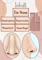 Vorschau - Stundenentwürfe - XL Materialpaket Die Nase/ Geruchssinn - Seite 2