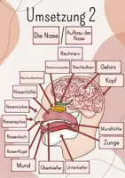 Vorschau - Stundenentwürfe - Tafelbild/ Legebild Die Nase, Aufbau der Nase - Seite 3