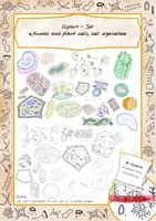Vista previa - Manualidades / Dibujos para colorear - Cliparts Gráficos: Célula animal y vegetal, orgánulos celulares - Portada