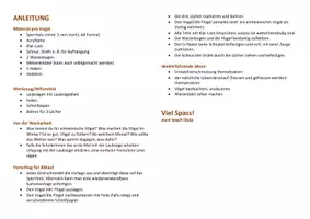 Vorschau - Mal- und Bastelvorlagen - TTG (Werken): Vogel aus Sperrholz (Futterspender) - Seite 3