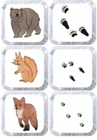 Vorschau - Spiele - Tiere im Winter - Zuordnungsspiel I Spiel I Spuren - Seite 3