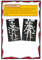 Vista previa - Manualidades / Dibujos para colorear - Aparato locomotor: modelos anatómicos del esqueleto y los músculos - página 2