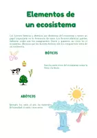 Vista previa - Hojas de trabajo - Los Ecosistemas - página 3