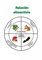 Vista previa - Hojas de trabajo - Aprendiendo con la cadena alimenticia de los ecosistemas - página 1