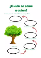 Vista previa - Hojas de trabajo - Aprendiendo con la cadena alimenticia de los ecosistemas - página 2