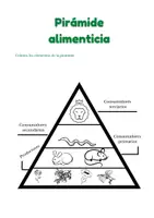 Vista previa - Hojas de trabajo - Aprendiendo con la cadena alimenticia de los ecosistemas - página 3
