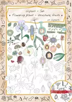Aperçu - Affichage - Ensemble de cliparts : plante à fleurs - Page de couverture