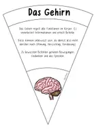 Vorschau - Bildkarten - Legekreis Organe des Menschen - Seite 3