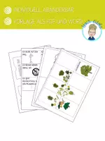 Vorschau - Mal- und Bastelvorlagen - Lapbook Wald | Waldtiere | Stockwerke (editierbare Vorlage) - Seite 1