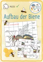 Vorschau - Arbeitsblätter - Aufbau der Biene – Puzzle - Deckblatt