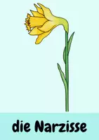 Vorschau - Bildkarten - Freebie Bildkarten Frühling (für DaZ und Grundschule) - Seite 1