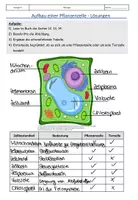 Vorschau - Stundenentwürfe - Aufbau einer Pflanzenzelle - Seite 2