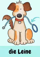 Vorschau - Bildkarten - Bildkarten Hunde (für DaZ und Grundschule) - Seite 1