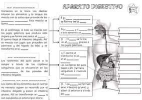 Vista previa - Hojas de trabajo - APARATO DIGESTIVO - página 2