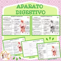 Vista previa - Hojas de trabajo - APARATO DIGESTIVO - Portada