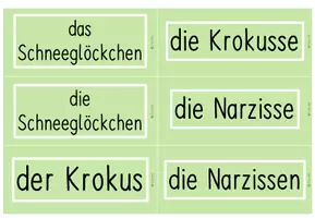 Vorschau - Bildkarten - Fotos - Frühblüher - Seite 3