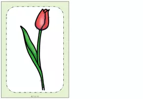 Vorschau - Präsentationen/Tafelbilder - Tafelmaterial - Bild- und Wortkarten Frühblüher - Seite 2