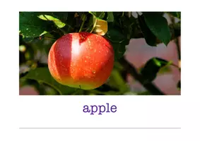 Vorschau - Arbeitsblätter - fruits and vegetables Englisch Bildkarten - Seite 2