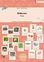 Vorschau - Bildkarten - Bildkarten: Tiere - Deckblatt